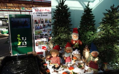 Bezoek de kerstshow bij Intratuin Pijnacker
